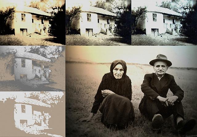 Ancestors-I