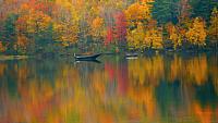 Canadian Autumn